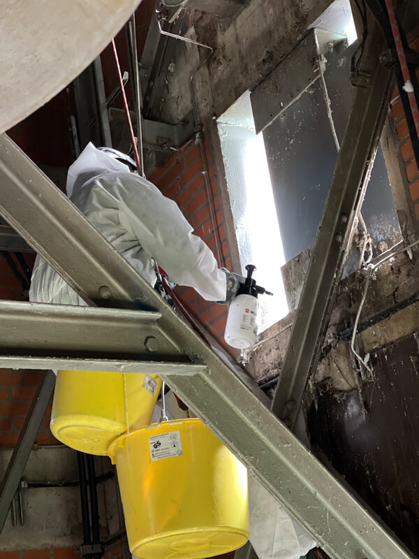 Industriekletterer entfernt Taubenkot in einem Kirchturm