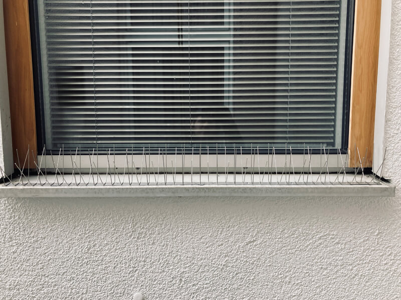 Durch Industriekletterer montierte Taubenspikes auf einer Fensterbank